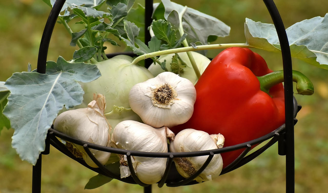 Scopri come preparare un insetticida naturale per proteggere il tuo giardino in modo ecologico e sostenibile.